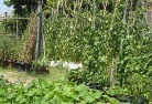 Mookerawavegetable-gardens-6.jpg; ?>